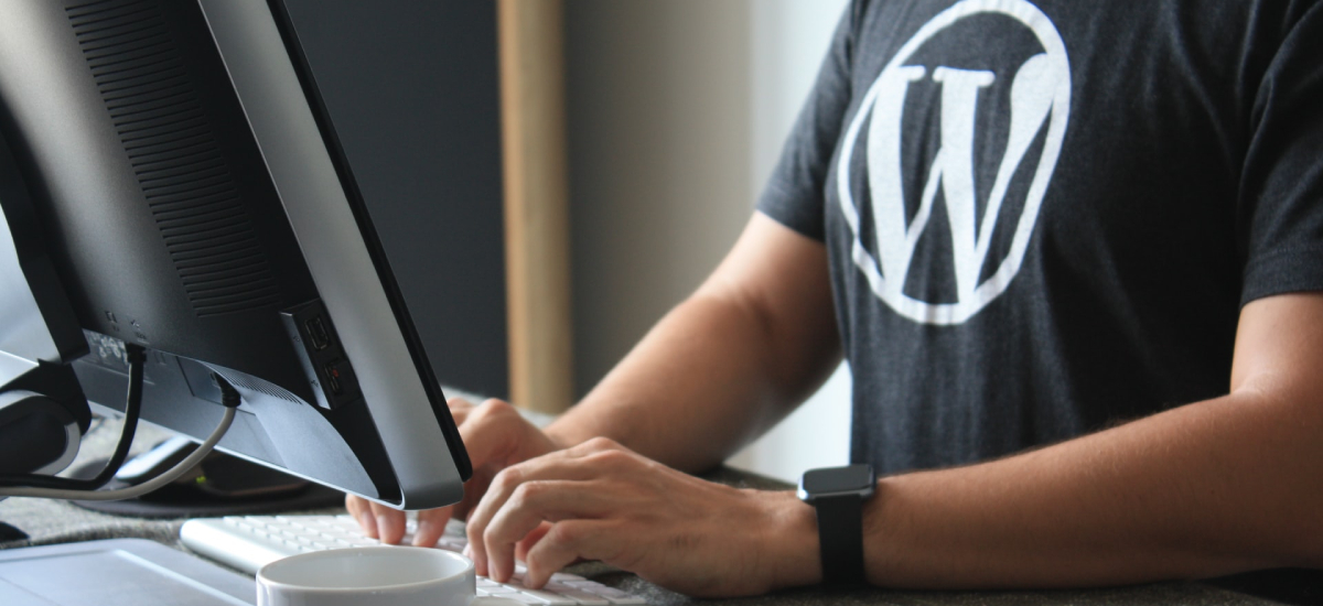 Best WordPress Plugins for Designers