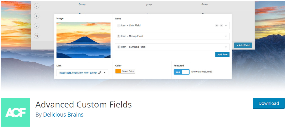 Advanced Custom Fields plugin page