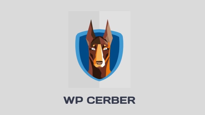 cerber security